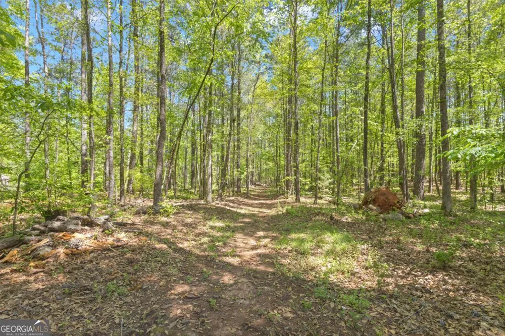 130 Sam Solomon RD Locust Grove, GA 30248