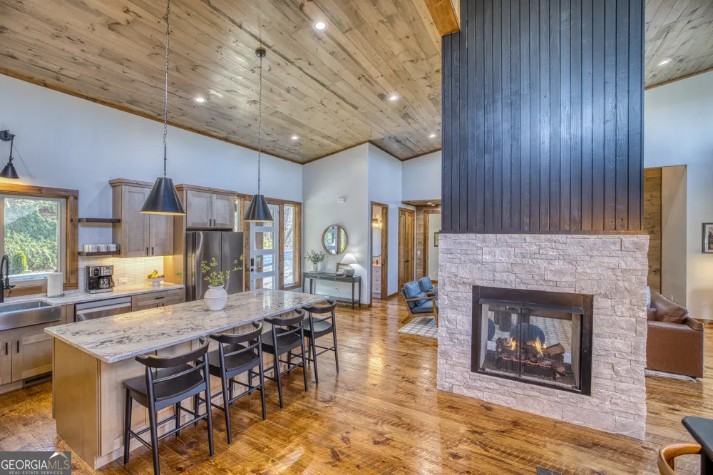 1160 Mangums TRL Blue Ridge, GA 30513