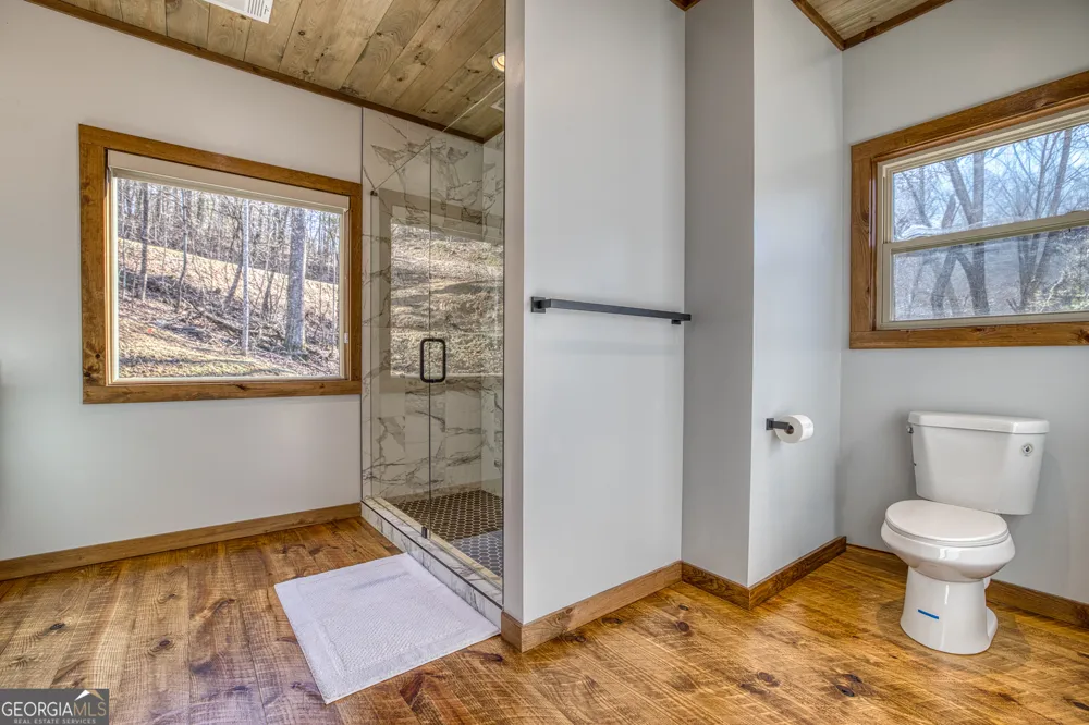 1160 Mangums TRL Blue Ridge, GA 30513