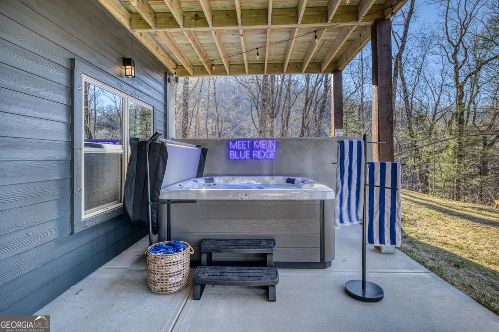 1160 Mangums TRL Blue Ridge, GA 30513