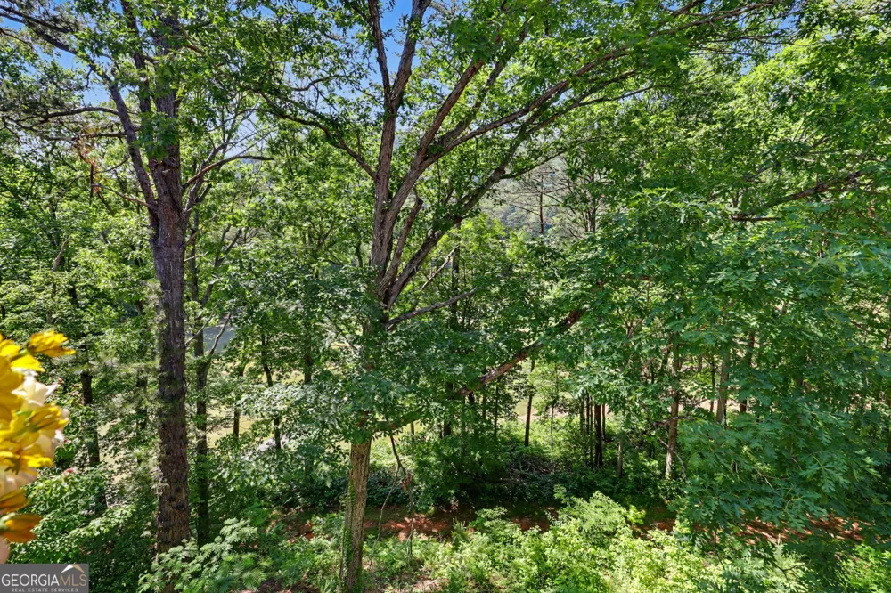227 Shakespeare DR Clayton, GA 30525