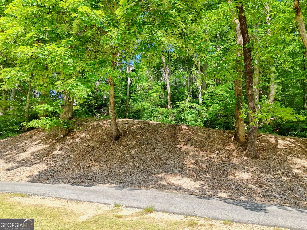 227 Shakespeare DR Clayton, GA 30525