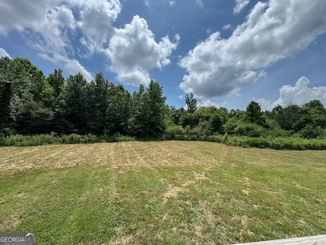 194 Deer Park DR Chatsworth, GA 30705