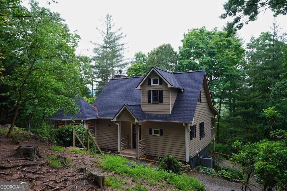 165 Amelia LN Blue Ridge, GA 30513
