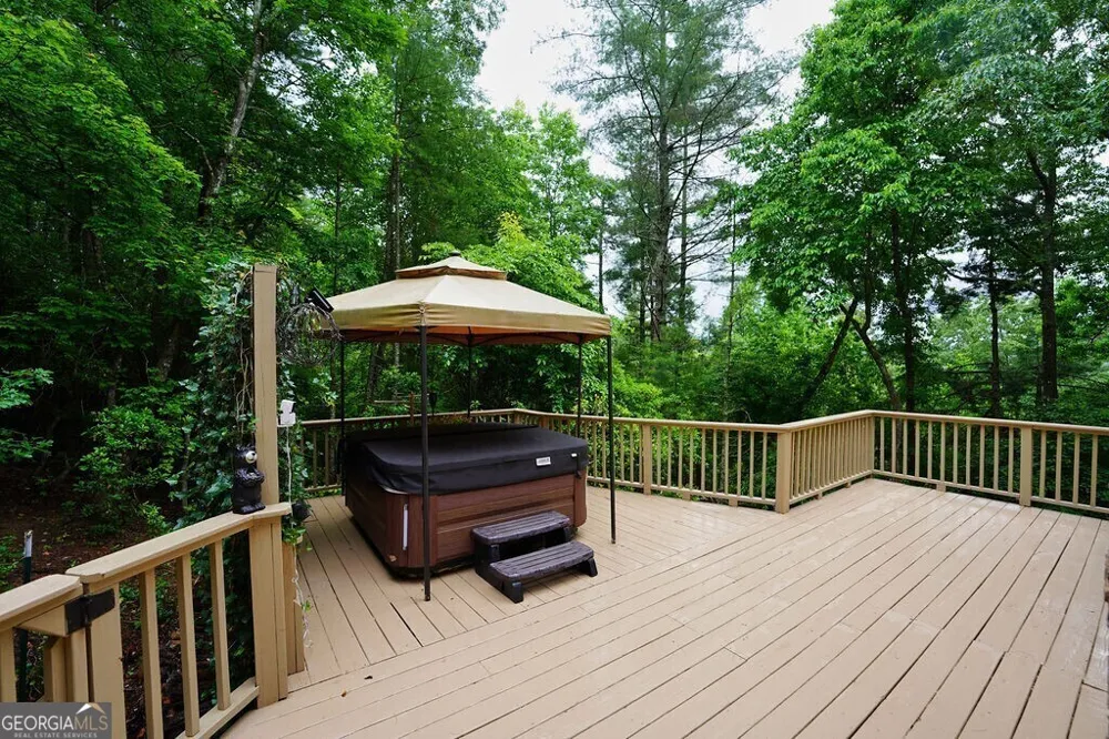 165 Amelia LN Blue Ridge, GA 30513