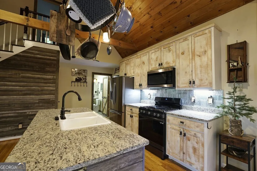 165 Amelia LN Blue Ridge, GA 30513
