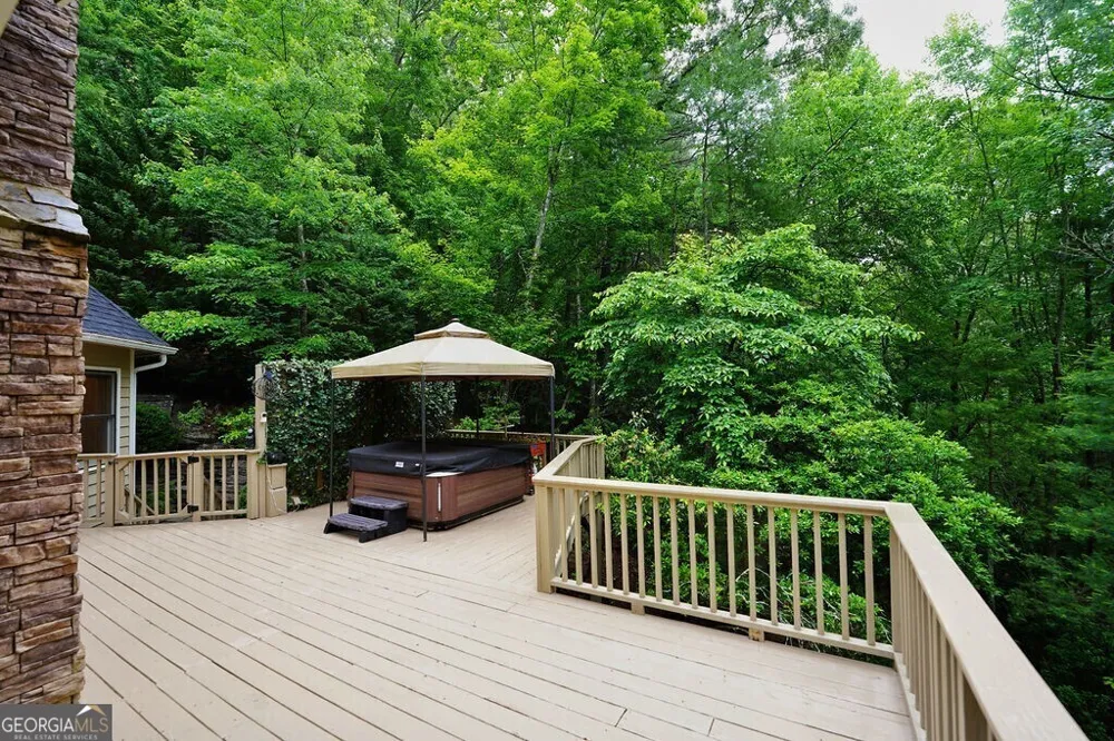 165 Amelia LN Blue Ridge, GA 30513