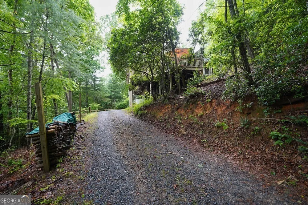 165 Amelia LN Blue Ridge, GA 30513