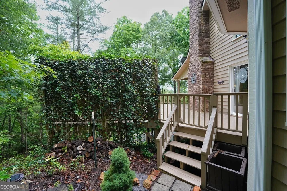165 Amelia LN Blue Ridge, GA 30513