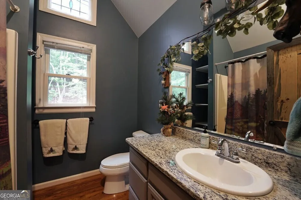 165 Amelia LN Blue Ridge, GA 30513