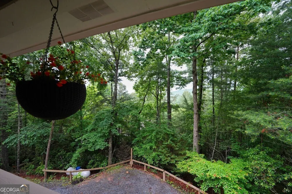 165 Amelia LN Blue Ridge, GA 30513