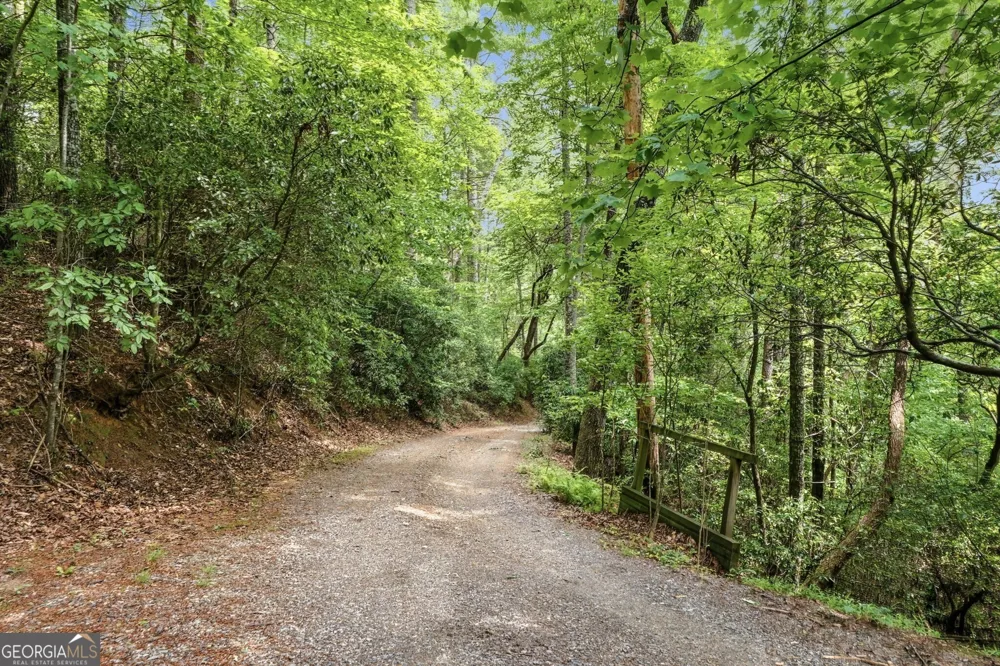 165 Amelia LN Blue Ridge, GA 30513