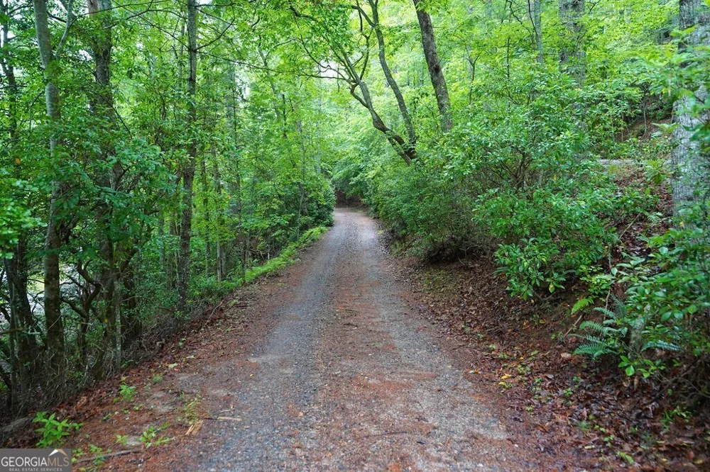 165 Amelia LN Blue Ridge, GA 30513