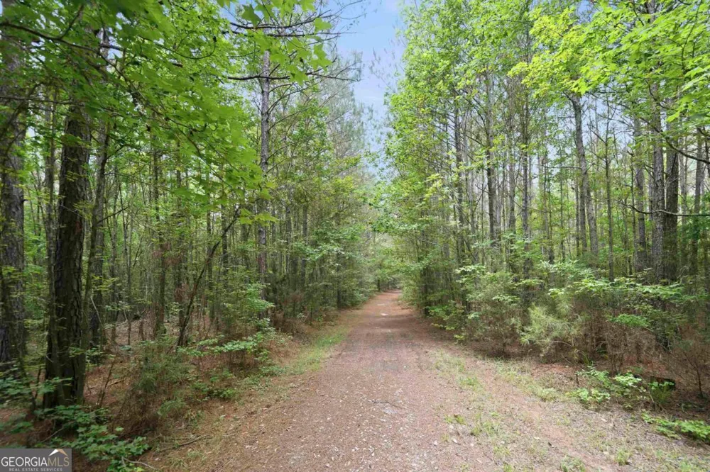 0 Pear Orchard RD Greensboro, GA 30642
