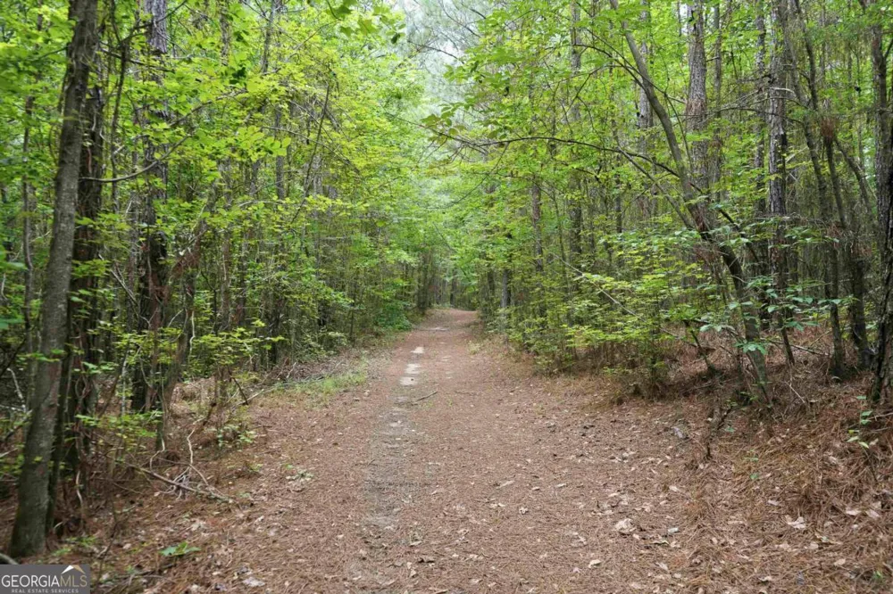 0 Pear Orchard RD Greensboro, GA 30642