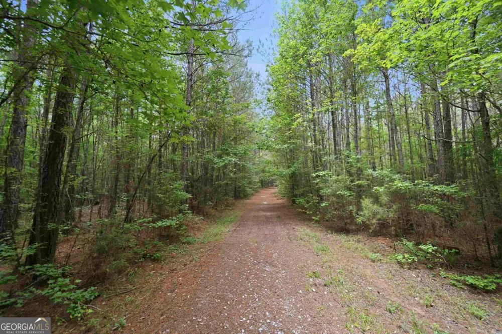 0 Pear Orchard RD Greensboro, GA 30642