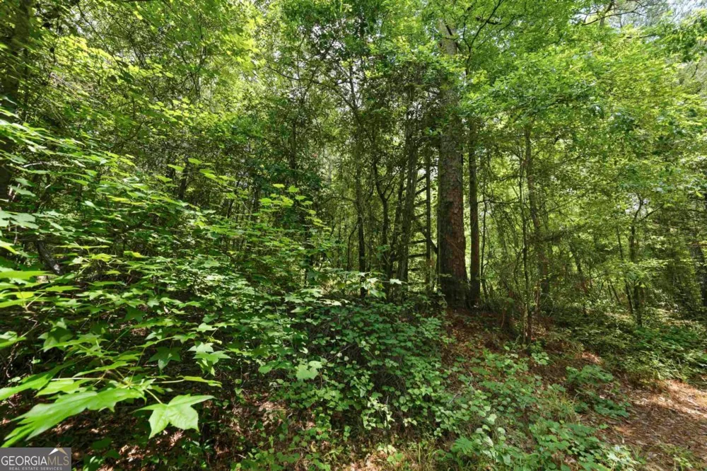 0 Pear Orchard RD Greensboro, GA 30642