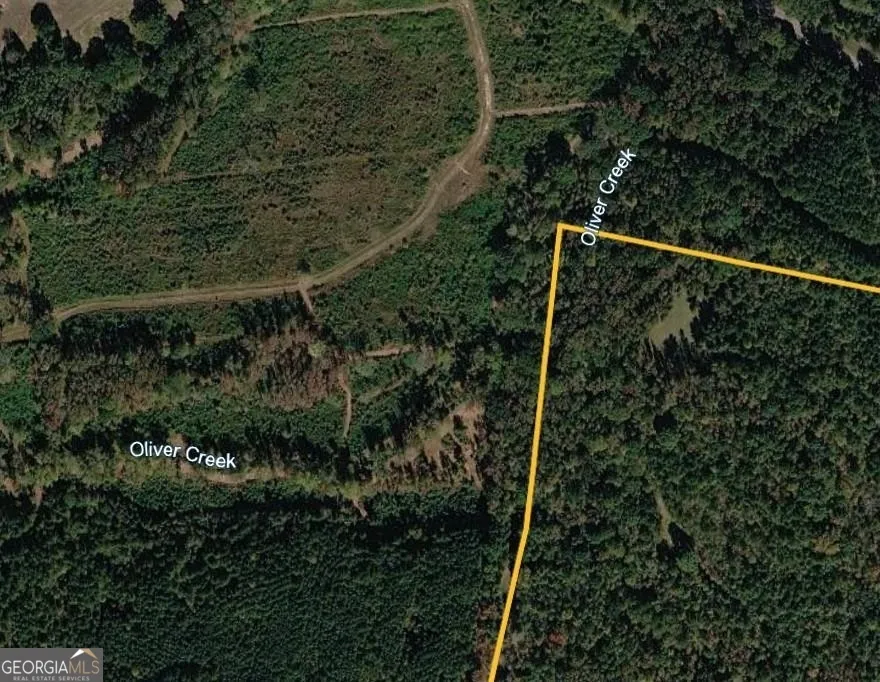 0 Pear Orchard RD Greensboro, GA 30642