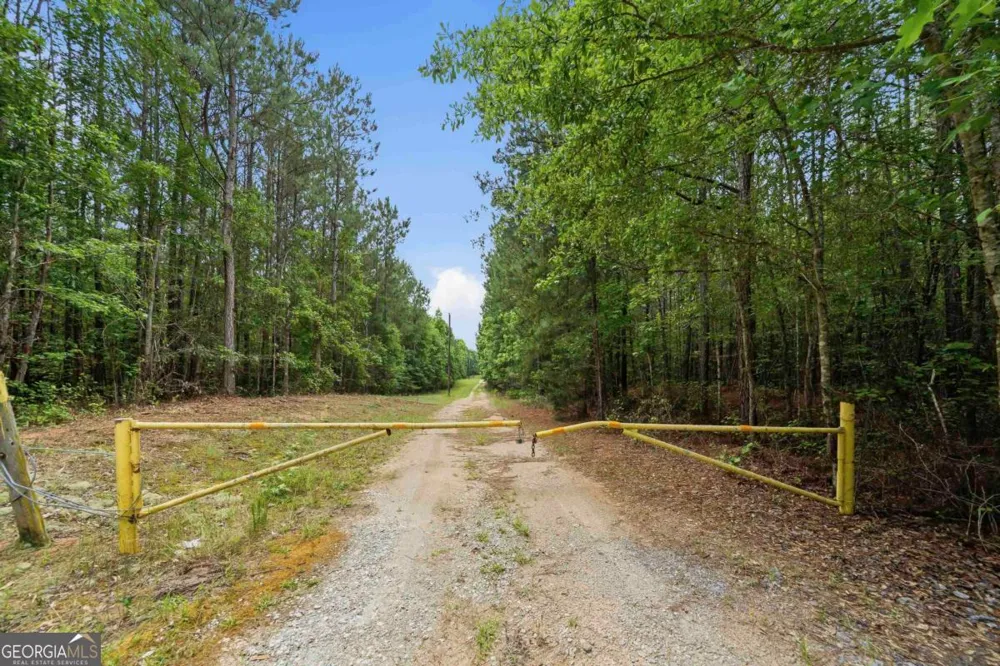 0 Pear Orchard RD Greensboro, GA 30642