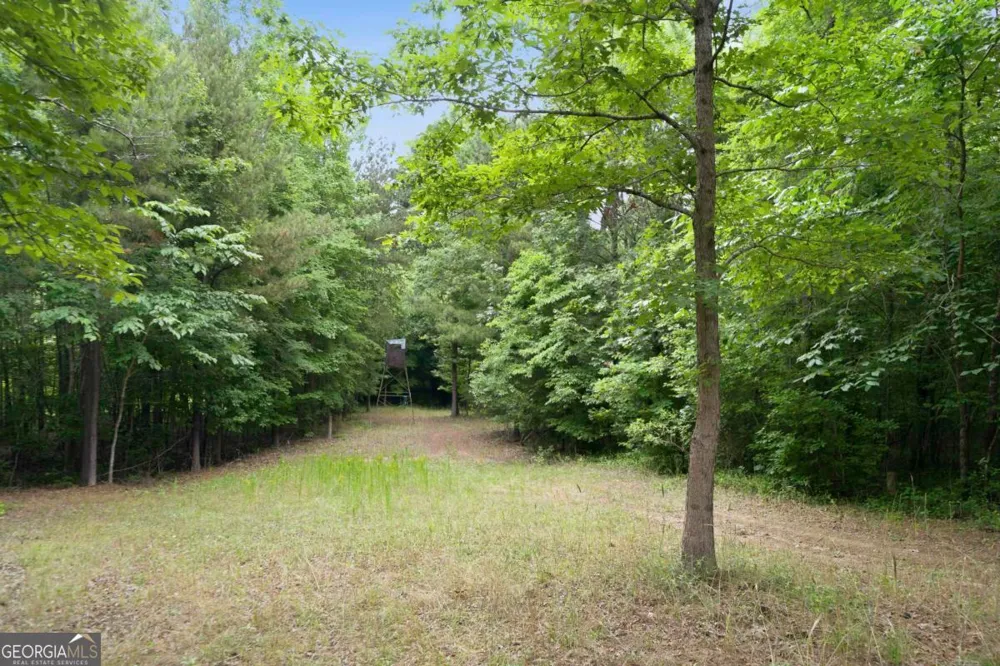 0 Pear Orchard RD Greensboro, GA 30642