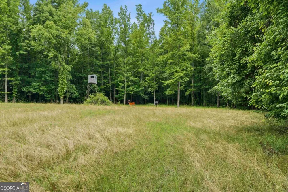0 Pear Orchard RD Greensboro, GA 30642