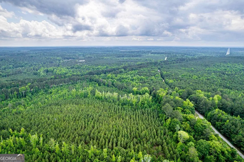 0 Pear Orchard RD Greensboro, GA 30642
