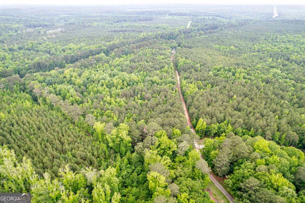 0 Pear Orchard RD Greensboro, GA 30642
