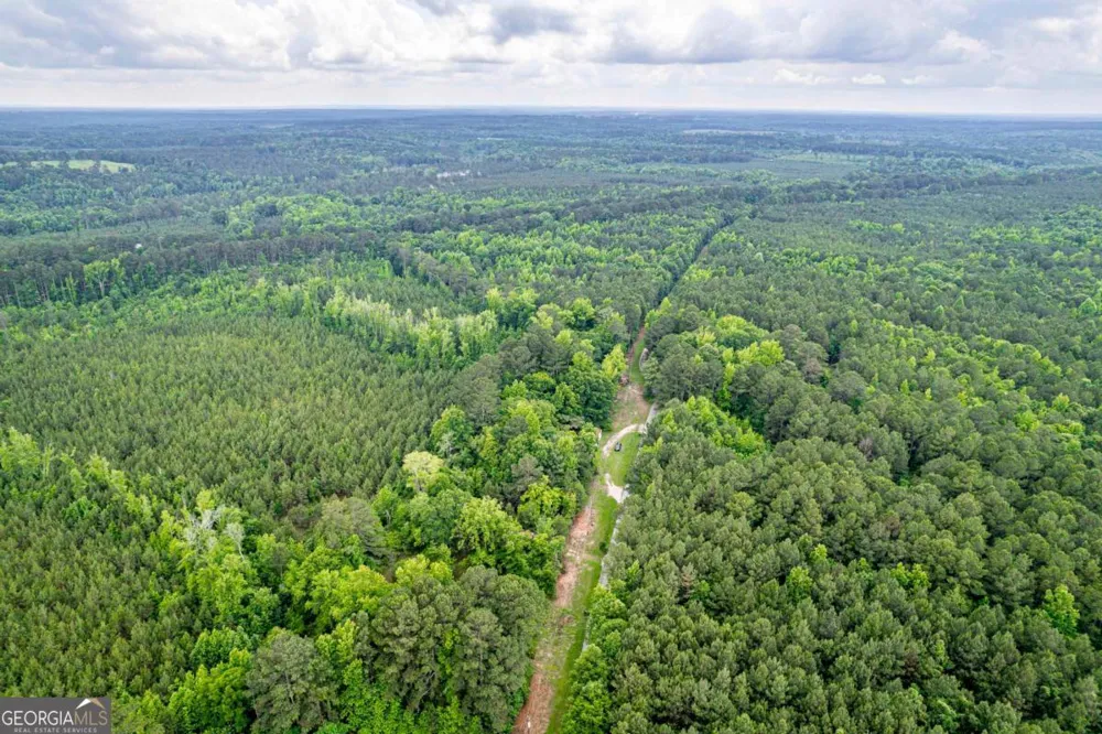 0 Pear Orchard RD Greensboro, GA 30642