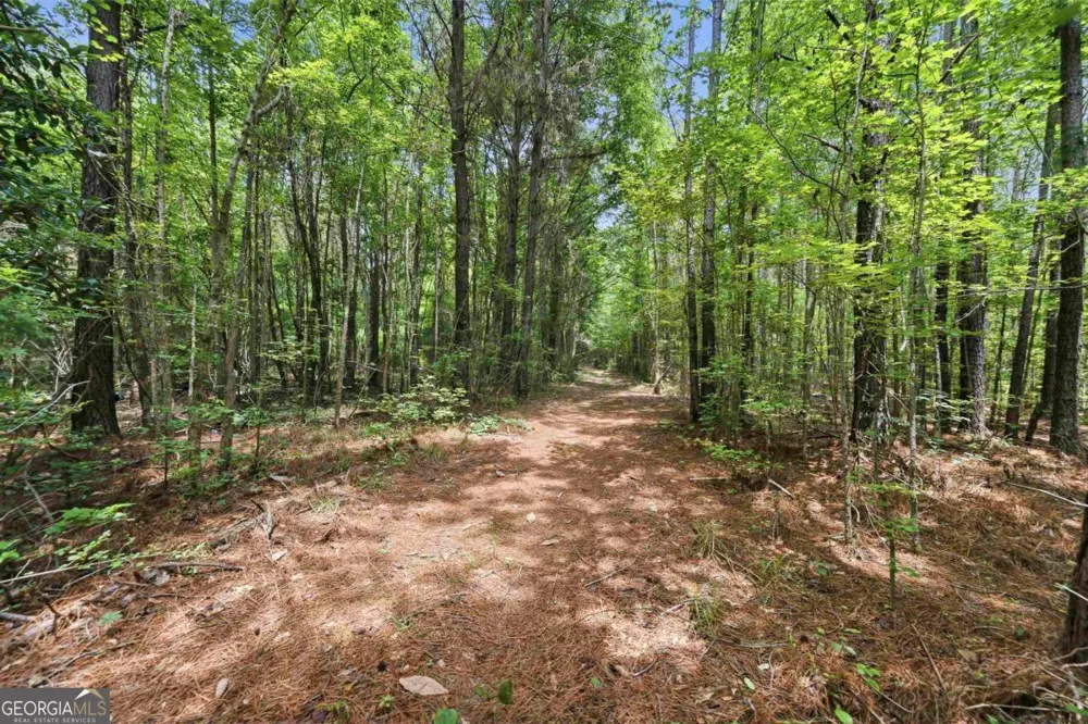 0 Pear Orchard RD Greensboro, GA 30642
