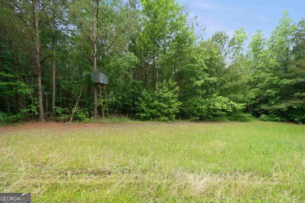 0 Pear Orchard RD Greensboro, GA 30642