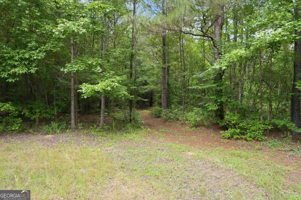 0 Pear Orchard RD Greensboro, GA 30642