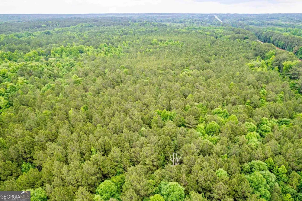 0 Pear Orchard RD Greensboro, GA 30642