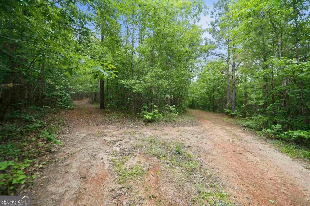 0 Pear Orchard RD Greensboro, GA 30642