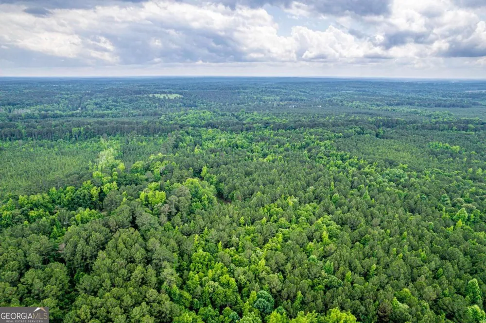 0 Pear Orchard RD Greensboro, GA 30642