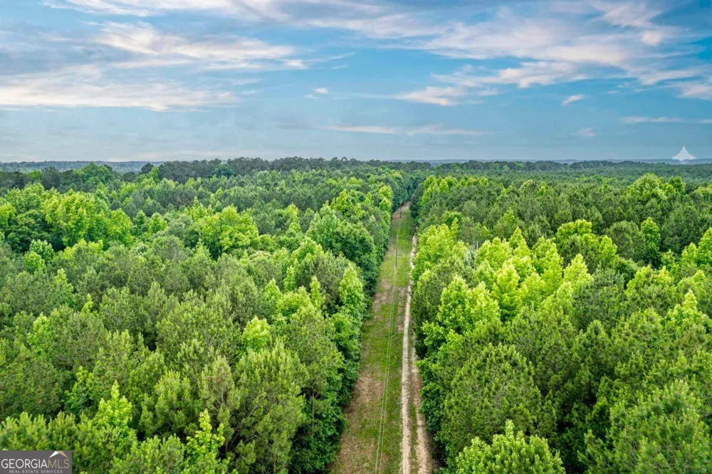 0 Pear Orchard RD Greensboro, GA 30642