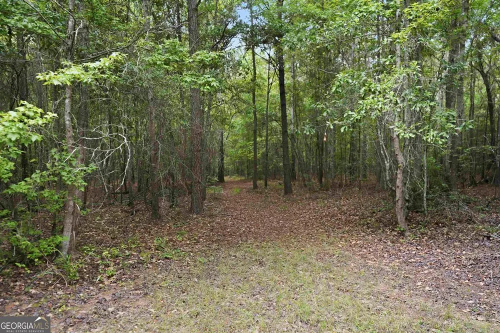 0 Pear Orchard RD Greensboro, GA 30642