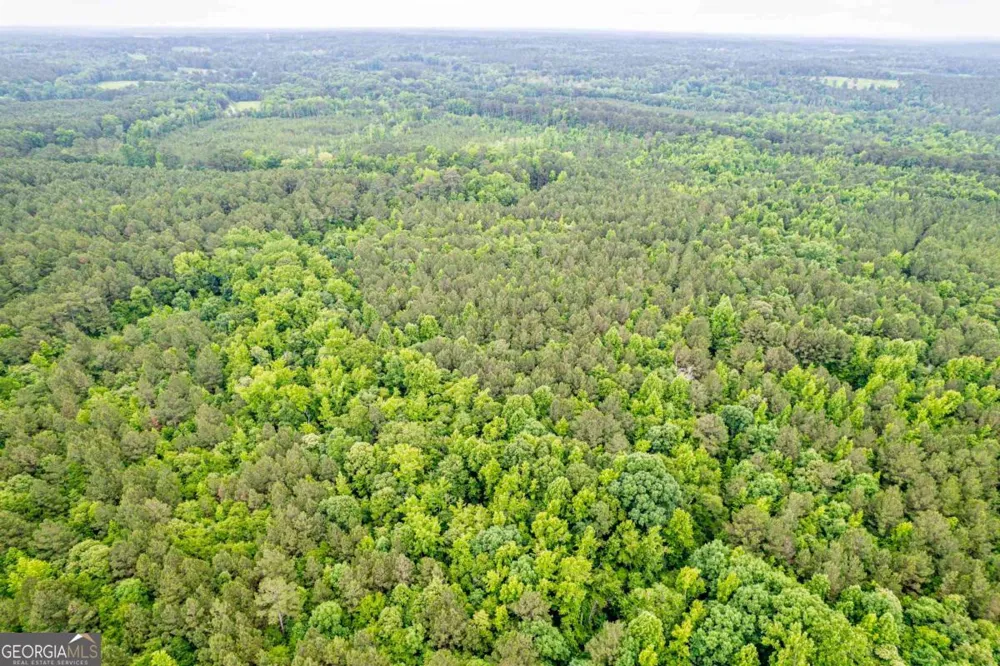 0 Pear Orchard RD Greensboro, GA 30642