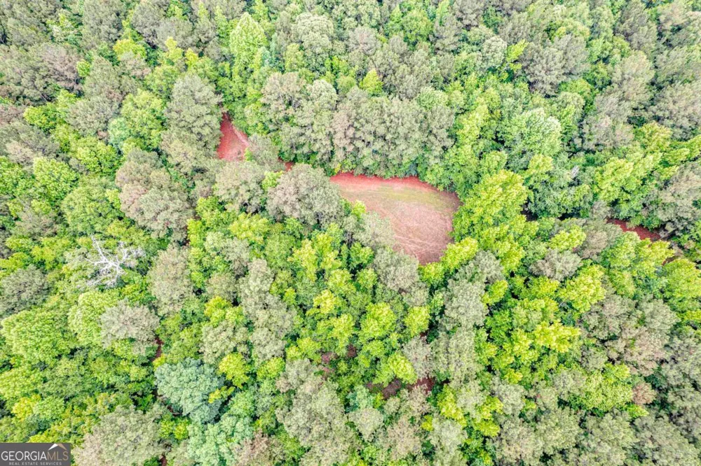0 Pear Orchard RD Greensboro, GA 30642