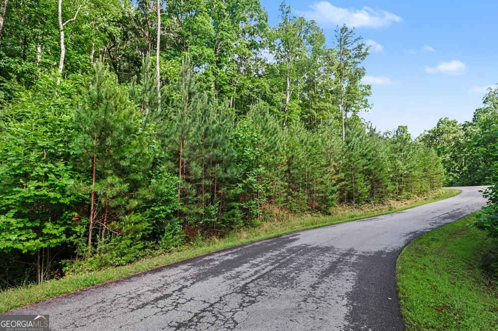 230 Rushing Water DR Blairsville, GA 30512