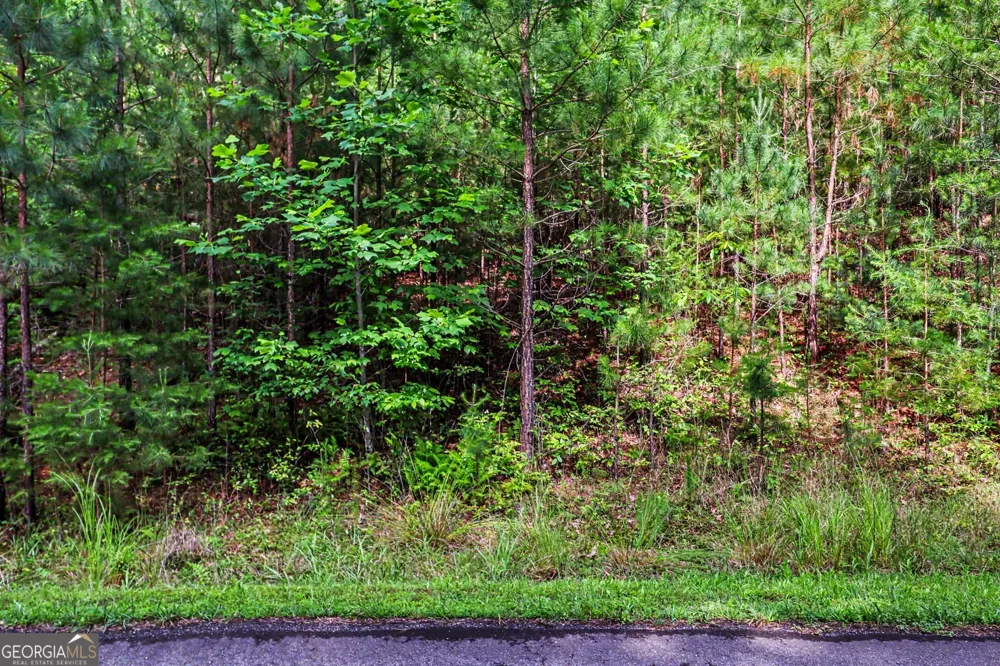 230 Rushing Water DR Blairsville, GA 30512