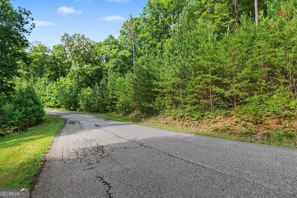 230 Rushing Water DR Blairsville, GA 30512