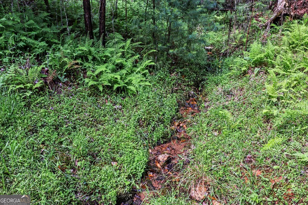 230 Rushing Water DR Blairsville, GA 30512