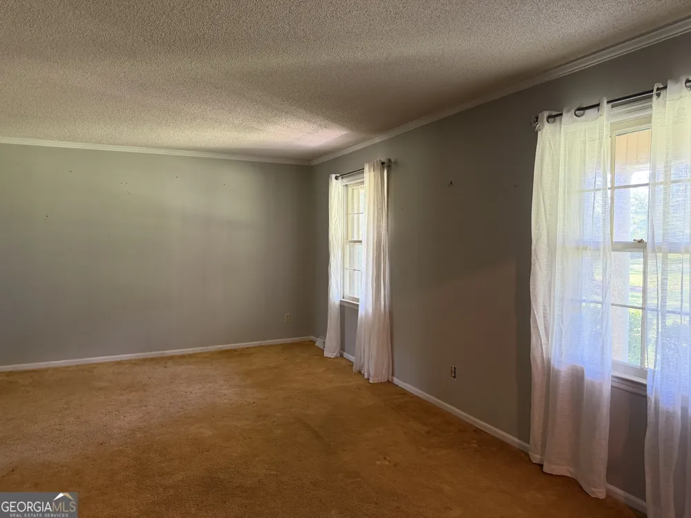 257 Lonnie Burke RD Portal, GA 30450