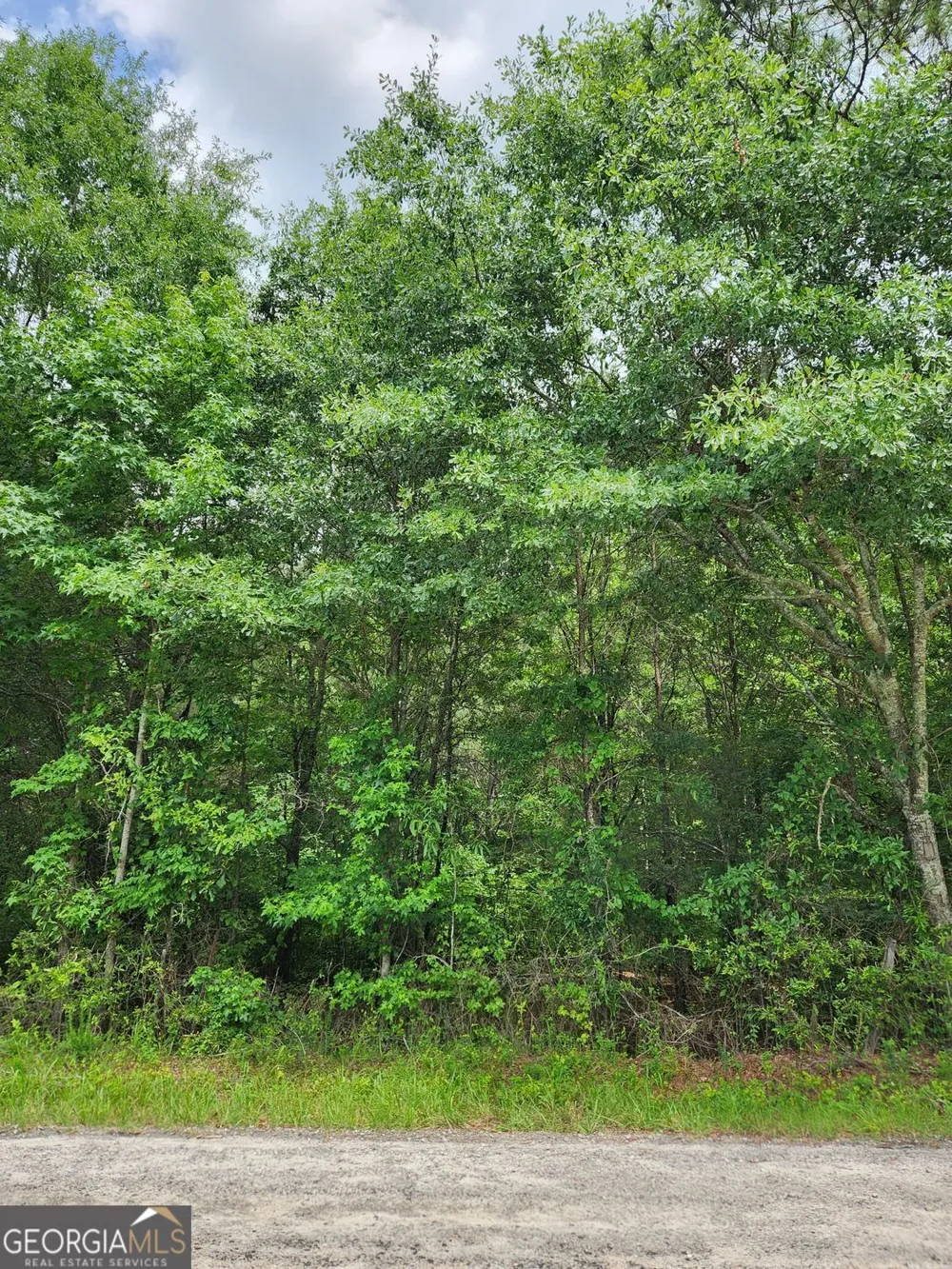 0 Barton Bridge RD Monroe, GA 30655