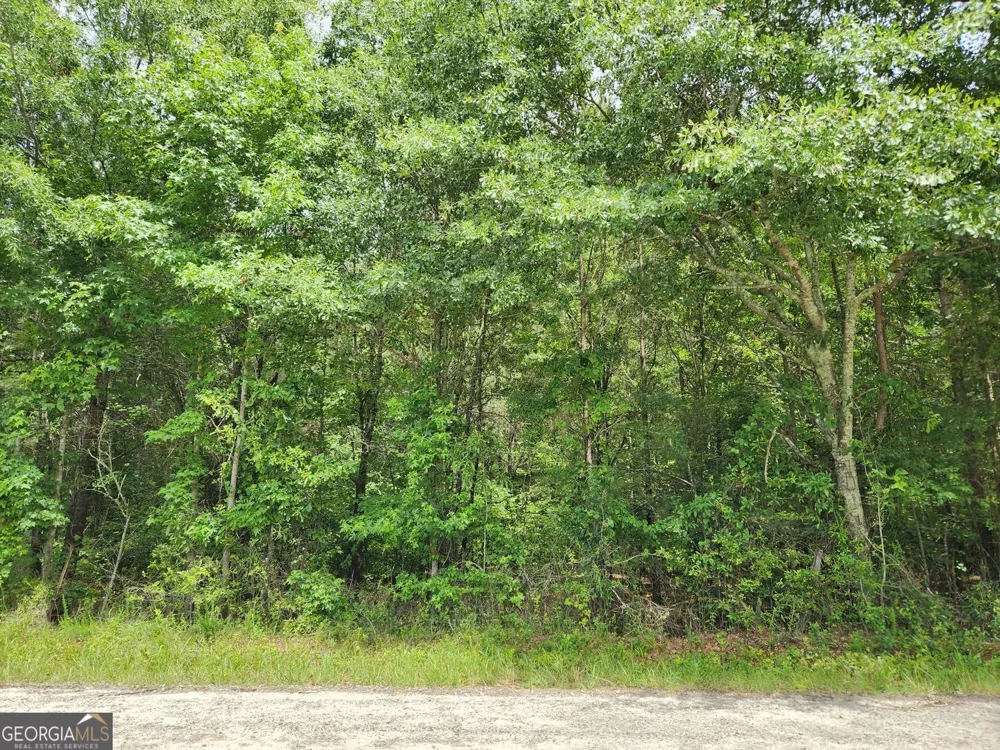 0 Barton Bridge RD Monroe, GA 30655