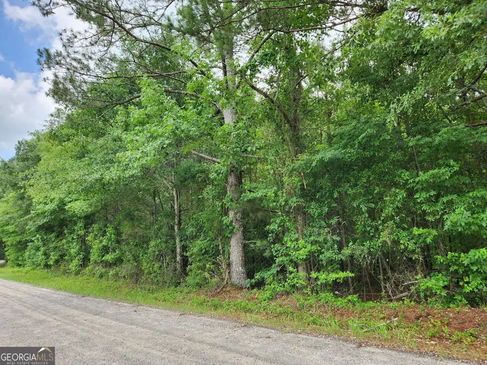0 Barton Bridge RD Monroe, GA 30655