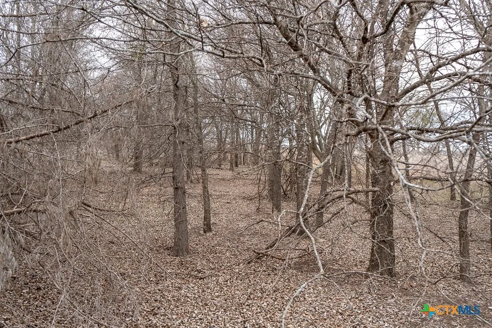 Mclennan Road Troy, TX 76579
