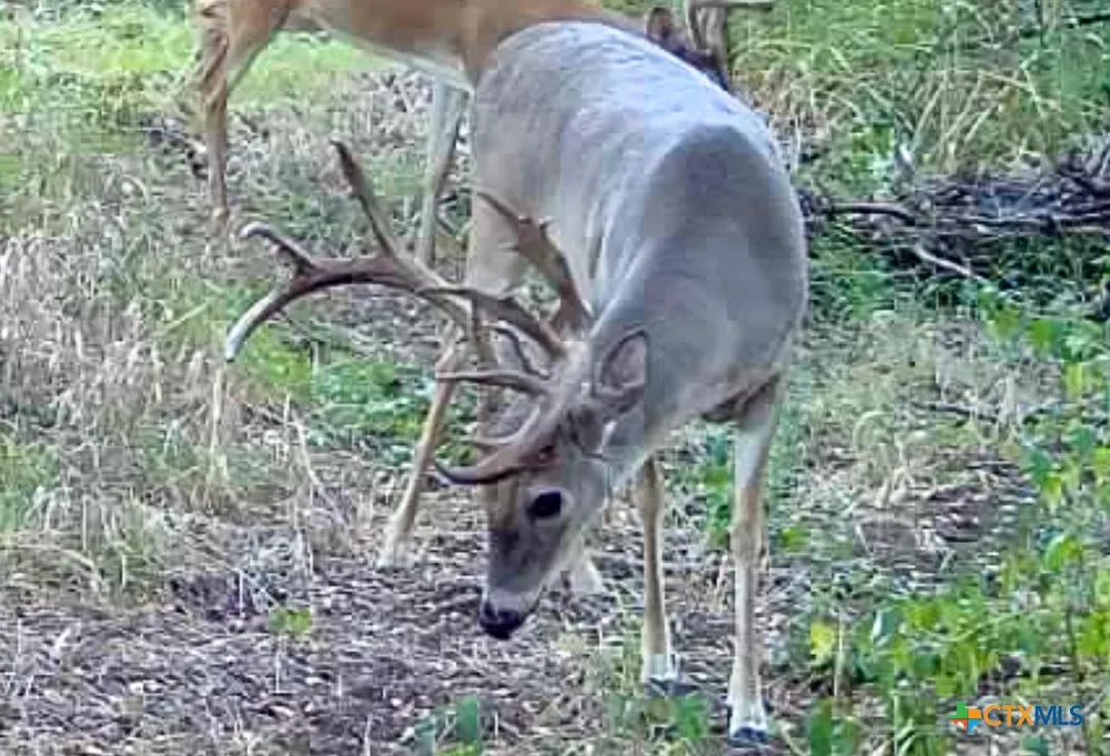 Mclennan Road Troy, TX 76579