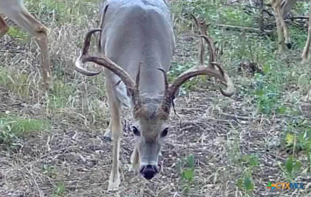 Mclennan Road Troy, TX 76579