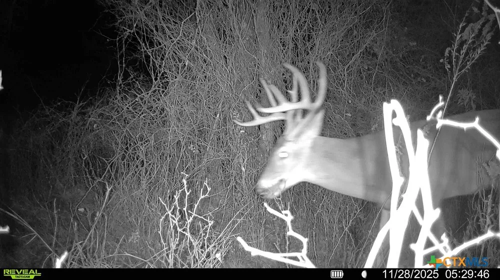 Mclennan Road Troy, TX 76579